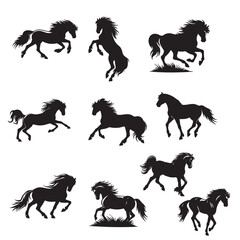 Isolated horses on the white background. horses silhouettes. Vector EPS 10.	