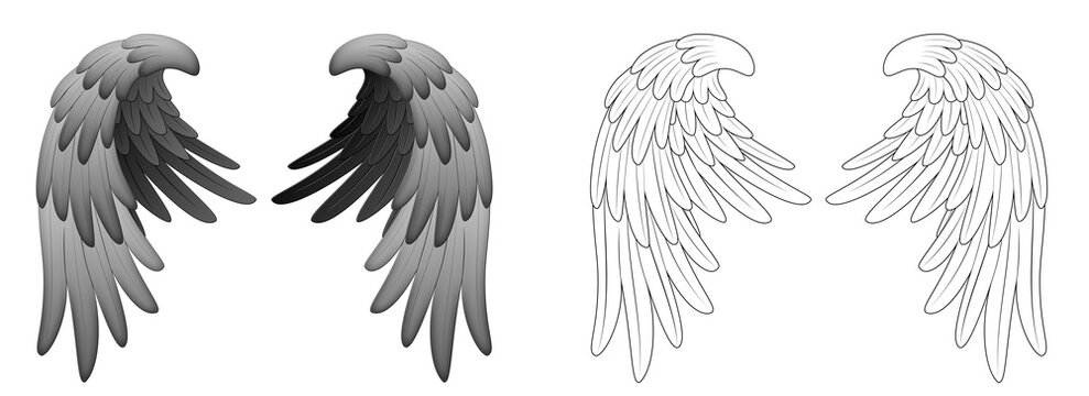 Wing tattoo illustration. Line work completed. transparent background 문신도안, 건대타투, 날개, 타투도안