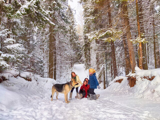 Joyful family ethnic dress with shawls, earflap hats, dog, sledge in winter forest in carnival Maslenitsa in Russia. Tourists in Shrovetide in spring. Mother, father, son, daughter having fun in snow