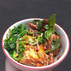 Rice bowl bibimbap homemade with traditional homie food in Indonesia filled with rice, egg fried, stir fry watercress, sweet soy sauce chicken basil, fried salted fish Medan  | Natural photos