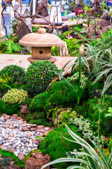 Minimal Japanese garden in home with small stone lantern and bamboo fountain and moss and flowers.
