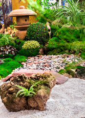 Minimal Japanese garden in home with small stone lantern and bamboo fountain and moss and flowers.

