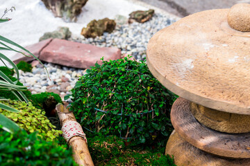 Minimal Japanese garden in home with small stone lantern and bamboo fountain and moss and flowers.
