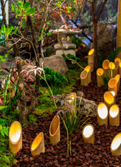Minimal Japanese garden in home with small stone lantern and bamboo fountain and moss and flowers.
