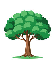 A tree vector illustration