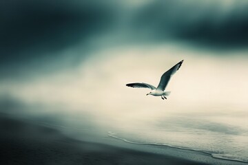 Obraz premium A serene view of a solitary bird gliding over a tranquil seashore under a moody sky, embodying freedom and peace.