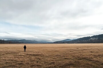 Fototapeta premium A solitary figure stands in a vast, open field under a cloudy sky, capturing the essence of nature's tranquility and isolation.