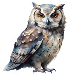 Obraz premium Detailed Watercolor Illustration of a Majestic Owl with Intense Yellow Eyes