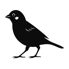 Illustration of Sparrow bird silhouette isolated