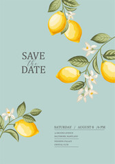 Wedding invitation. Lemon illustration. hand-drawn frame.
