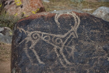 Open-air petroglyph museum in Kyrgyzstan