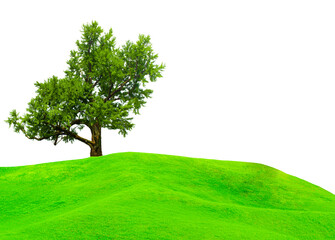 tree in a green meadow in front of a hilly mountain on transparent background.