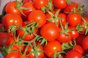 background of ripe red tomatoes with green stems. selective focus