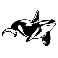 Killer Whale | Ocean Predator | Marine Life | Wild Animal | Ocean Creature | Orca | Wild Aquatic Mammal | Wildlife | Original Illustration | Vector and Clipart | Cutfile and Stencil