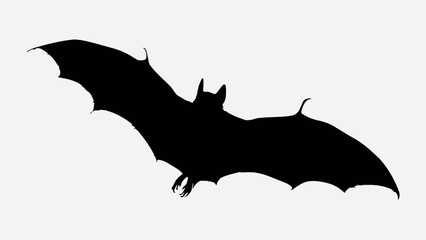 Obraz premium Adobe Illustrator Artwork