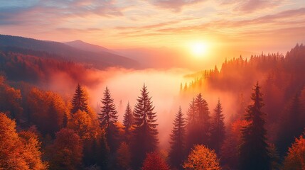 Obraz premium Autumn forest bathed in sunrise light, with a sea of fog below and mountains in the distance
