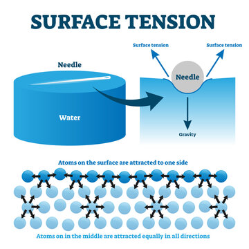 Surface tension explanation illustration diagram, transparent background. Physics educational information scheme with needle and liquid water atoms on the surface attraction example.
