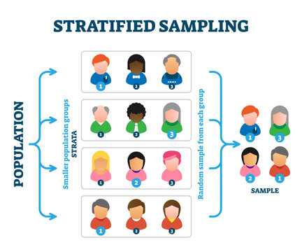 Stratified sampling example, illustration diagram, transparent background. Research method explanation scheme with person symbols and stages.