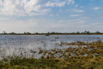 Flooded area near the Dnieper River in spring