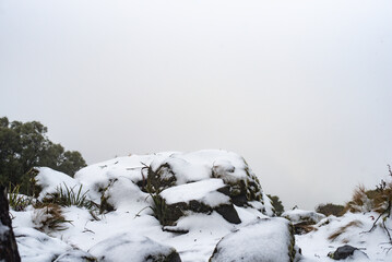 edge of a cliff covered in snow and fog