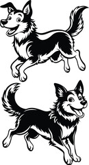 Obraz premium A joyful jumping smiling dog