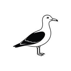 Black standing seagull  Vector icon isolated on white background