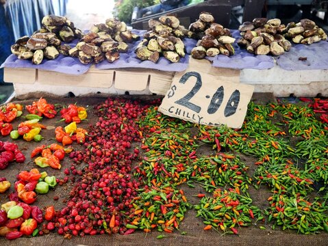 フィジーのラウトカマーケットの唐辛子とタヒチアンチェスナッツ（ボンゴチリとivi）
