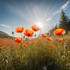 Obraz premium Natur pur, Feldblumen, Blumen, frei, Spätsommer, sommer