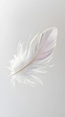 A white feather is shown in the center of the image. The feather is delicate and light, with a sense of grace and elegance. The image evokes a feeling of tranquility and calmness
