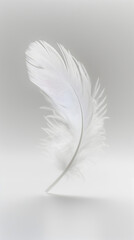 Obraz premium A white feather is shown in a close up. The feather is the only thing in the image, and it is the main focus. The image has a simple and minimalistic feel