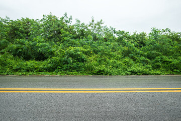 Side view of wet asphalt road with forest