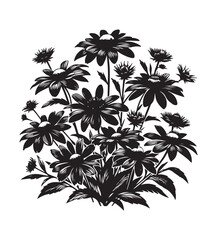 black eyed susan vector style,silhouette vector,black and white color