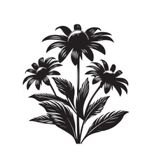 black eyed susan vector style,silhouette vector,black and white color