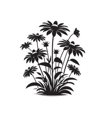 Obraz premium black eyed susan vector style,silhouette vector,black and white color