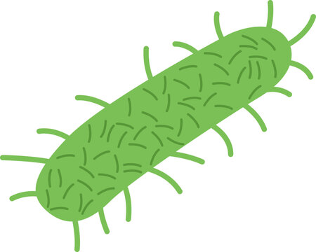 Yersinia Pestis