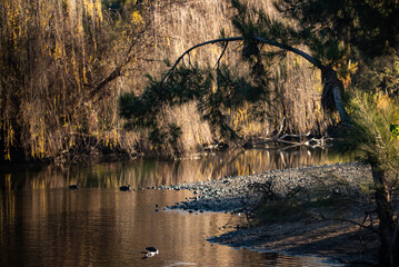 pebble beach on the bend of a river