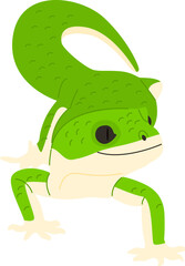 gecko lizard cartoon
