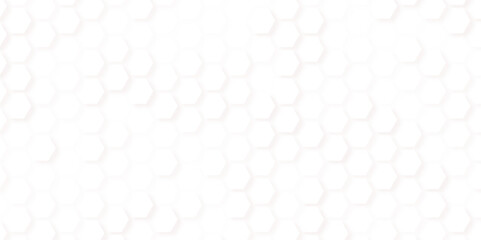 3d Hexagonal structure futuristic white background and Embossed Hexagon , Seamless pattern of the hexagonal netting.
