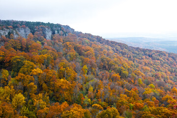 Autumn foliage at Mount Magazine with heavy fog in the valley.