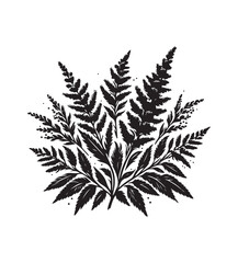 Naklejka premium goldenrod vector style,silhouette vector,black and white color
