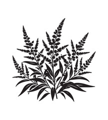 Obraz premium goldenrod vector style,silhouette vector,black and white color