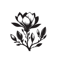 magnolia vector style,silhouette vector,black and white color