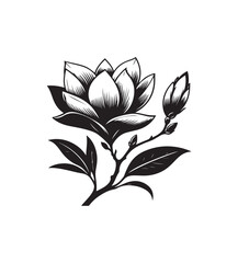 magnolia vector style,silhouette vector,black and white color