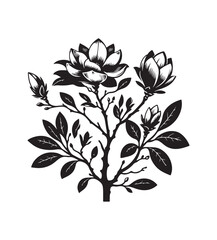 magnolia vector style,silhouette vector,black and white color
