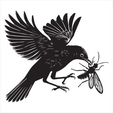 recommend clip art: Eurasian blackbird silhouette,  Blackbird Clipart,  Common blackbird insect caught in mid-air illustration in black and white