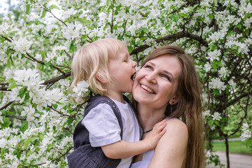 Obraz premium Mother and Child Embracing in a Beautiful Spring Garden with Blooming White Flowers.