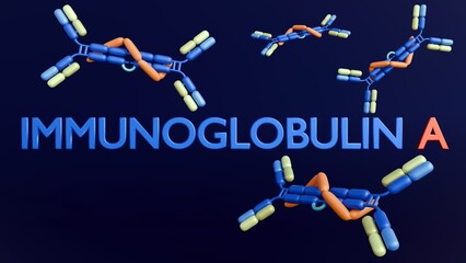3d rendering of scattered immunoglobulin A, or IgA, molecules in conjunction with secretory protein