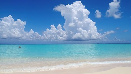 Obraz premium Tropical white sand island beach 14