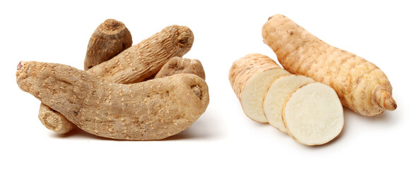 Gastrodia elata on white background