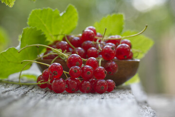 Fresh red currants in a wooden bowl on rustic wooden surface outdoors